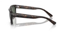 Ray-Ban Men's RB4396 Warren Rectangular Sunglasses, Havana/Dark Green, 57 mm