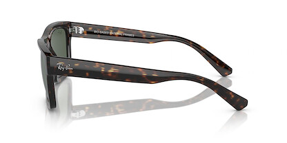 Ray-Ban Men's RB4396 Warren Rectangular Sunglasses, Havana/Dark Green, 57 mm