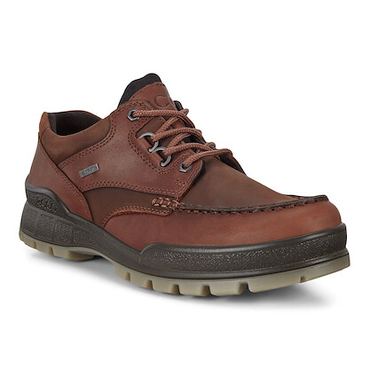 ECCO Men's Track 25 GTX Shoe Bison/Bison - 831714-52600